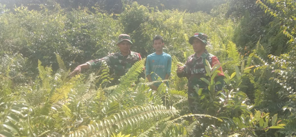 Cegah Karhutla, Serka Eri Ingatkan Ini ke Masyarakat