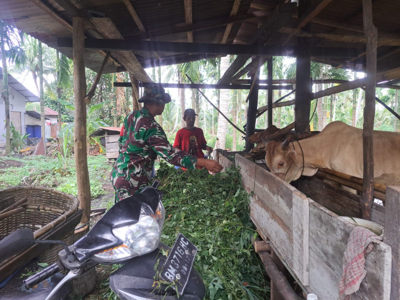 Serda Andri Widodo Ingatkan Pentingnya Kebersihan Kandang Untuk Cegah PMK