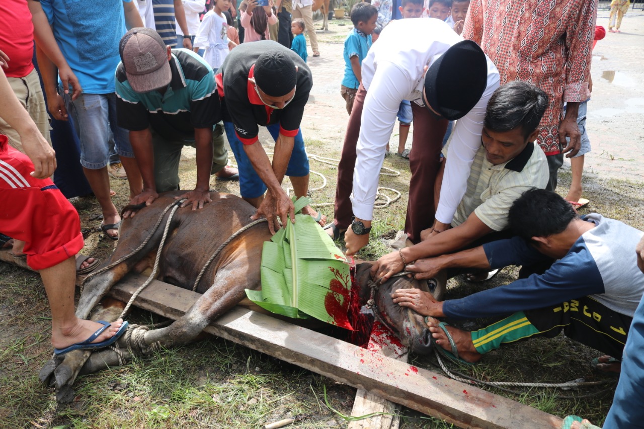 Polres Dumai Laksanakan Pemotongan Hewan Kurban