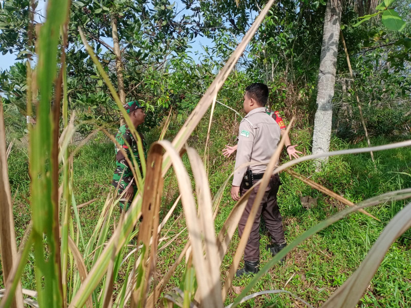 Cegah Kebakaran Hutan, Serda Engki Laksanakan Patroli