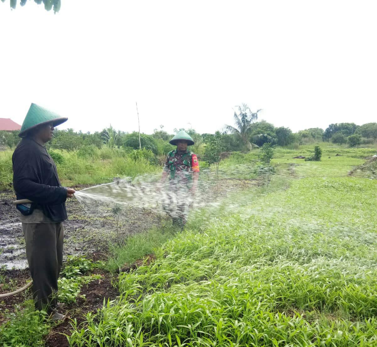 Sertu Mahyudin Ingatkan Bahaya Karhutla dan Laksanakan Pendampingan Karya Nyata