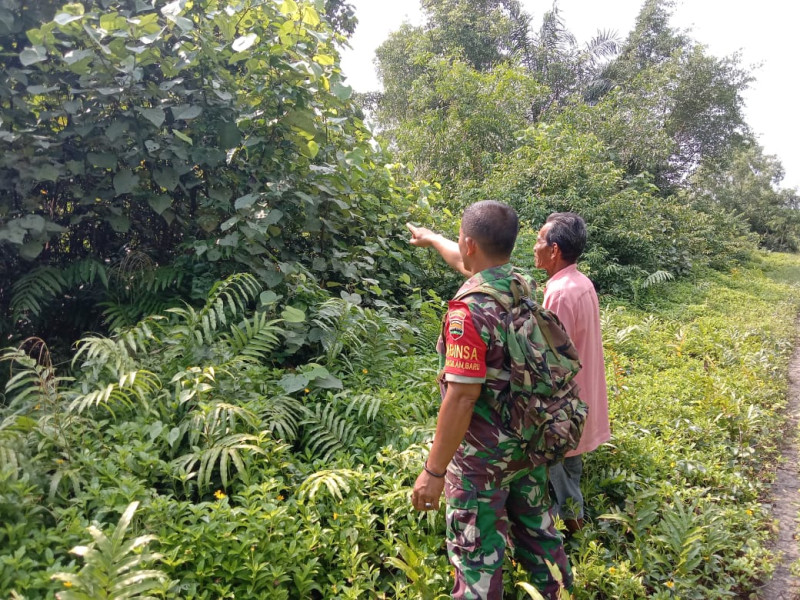 Sertu Jainal Arifin Sosialisasikan Giat Untuk Mencegah Karhutla