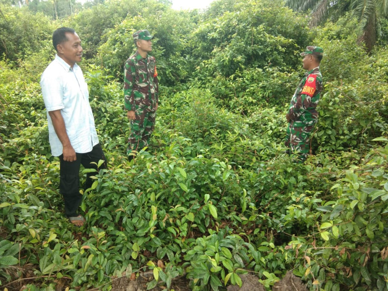 Giat Babinsa Koramil 06 Merbau Cegah Karhutla