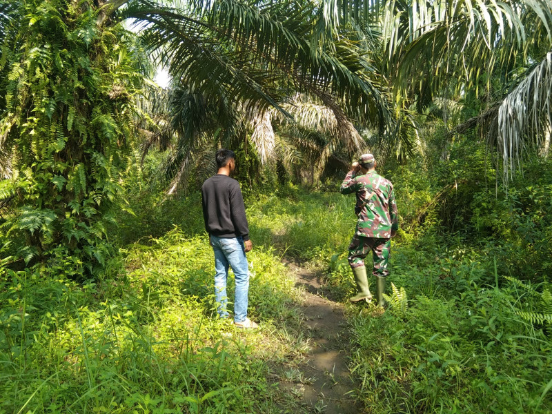 Patroli Untuk Mencegah Karhutla Dilaksanakan Oleh Koptu Erwan