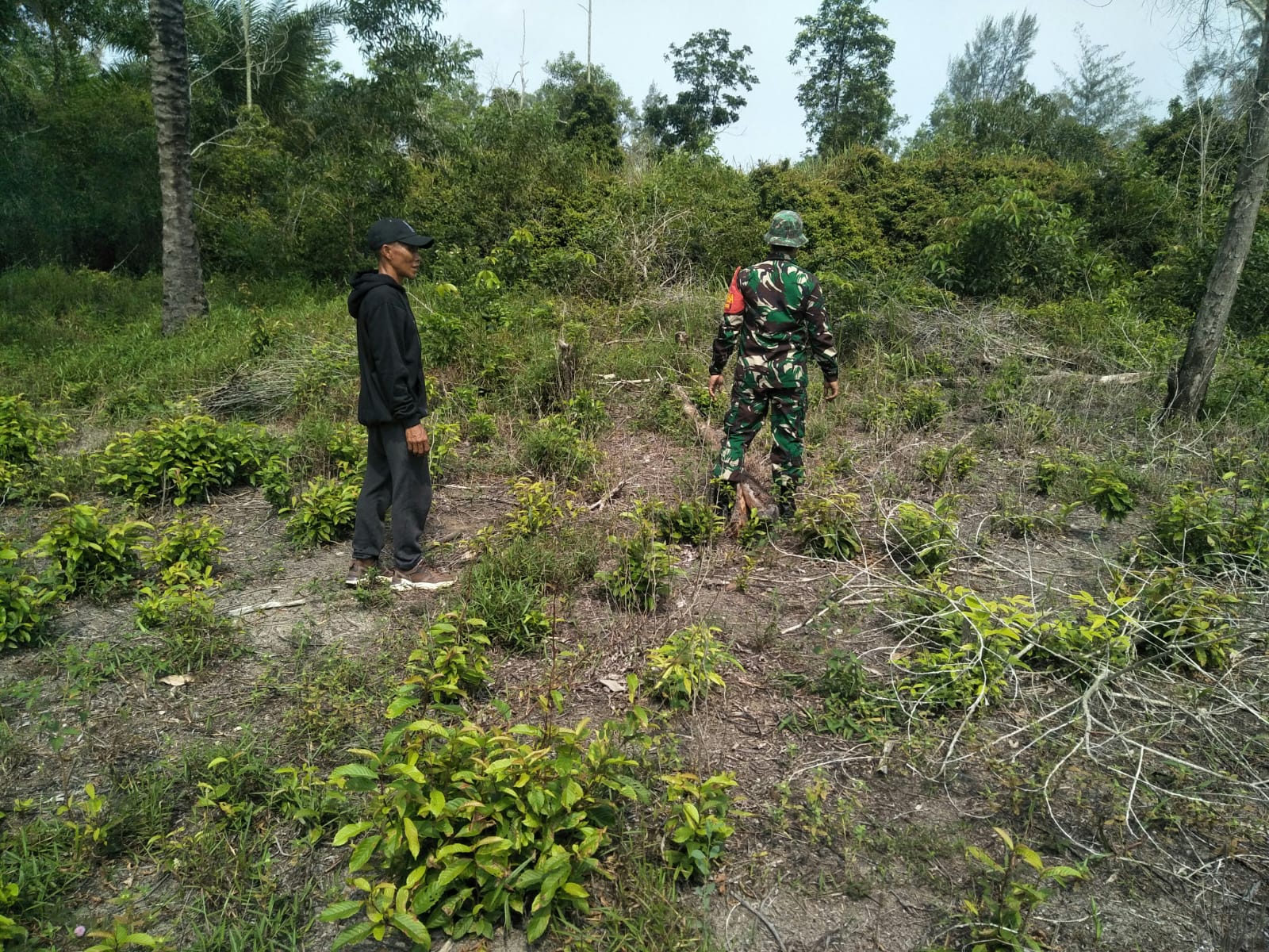 Serda Boby Rahman Berikan Kiat Membuka Lahan Dengan Aman