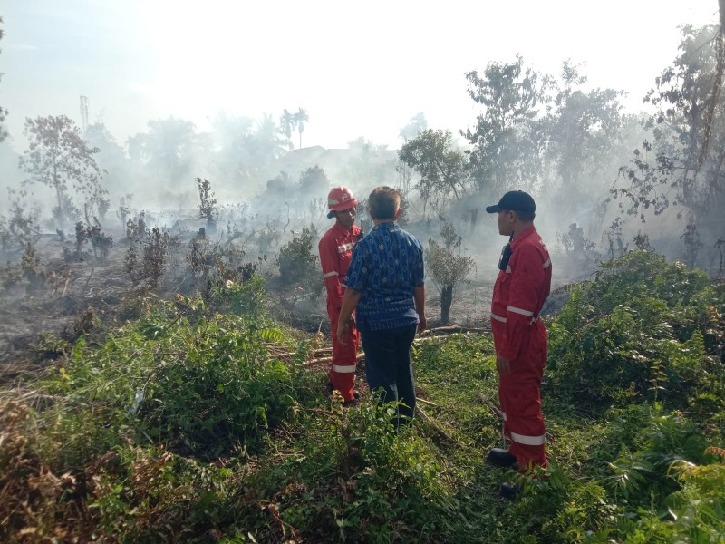 Sigap! Kilang Pertamina Dumai Turunkan Tim Khusus Jinakkan Kebakaran Lahan di Tanjung Palas