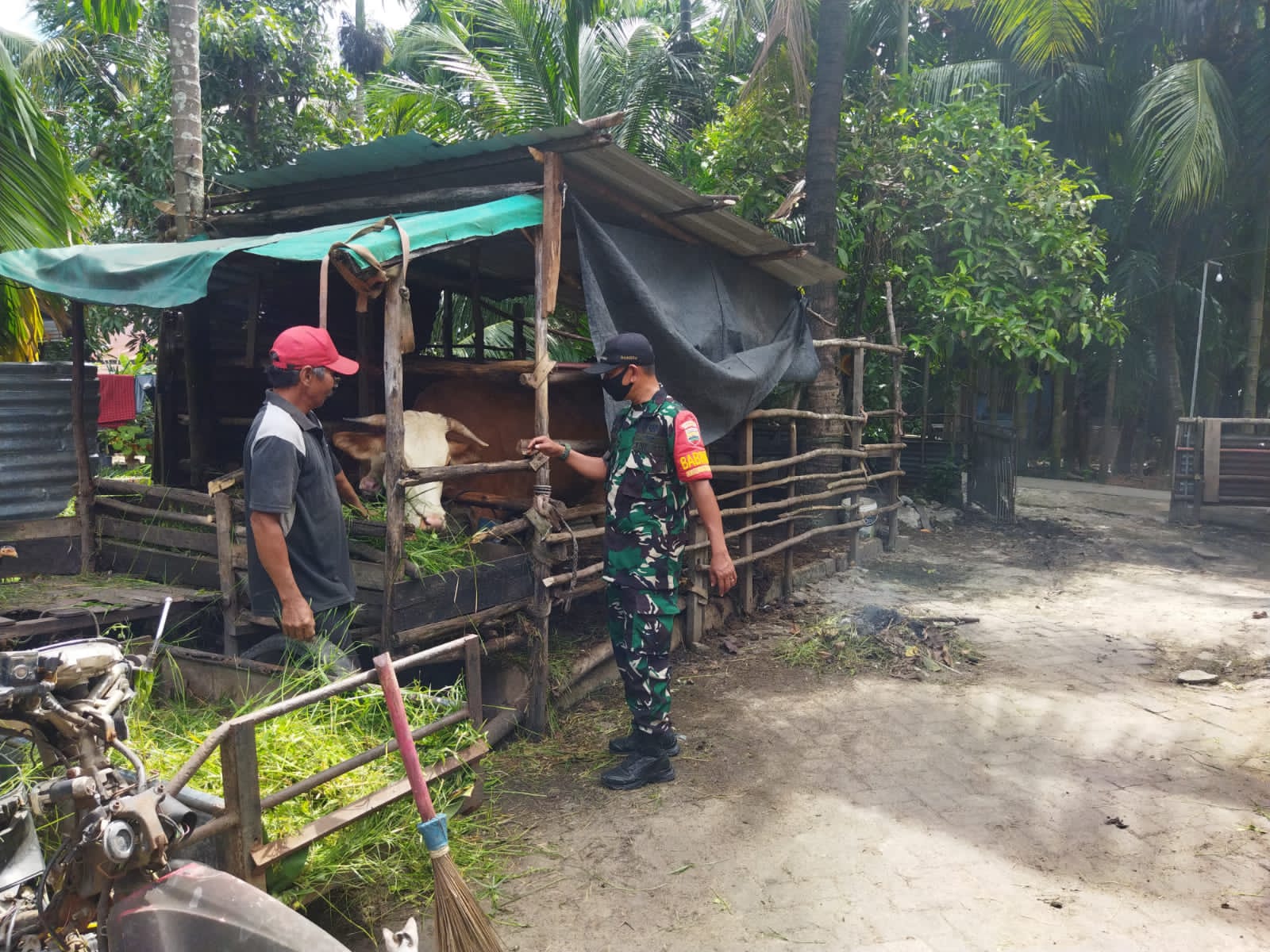 Semangat Pencegahan PMK Oleh Sertu Abu Kasim