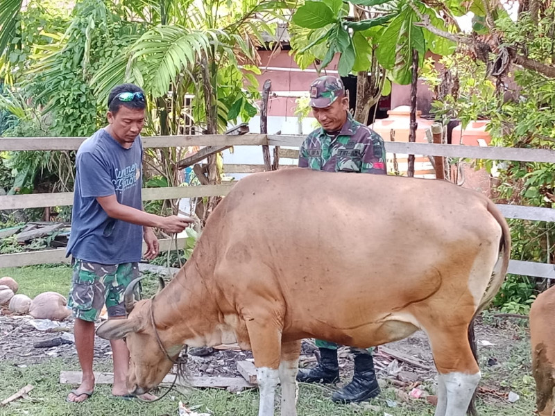 Praka Onki Jelaskan Bahaya PMK Kepada Peternak