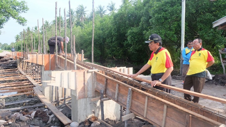Bupati Inhil Tinjau Pembangunan Infrastruktur Jalan dan Jembatan di Pulau Burung