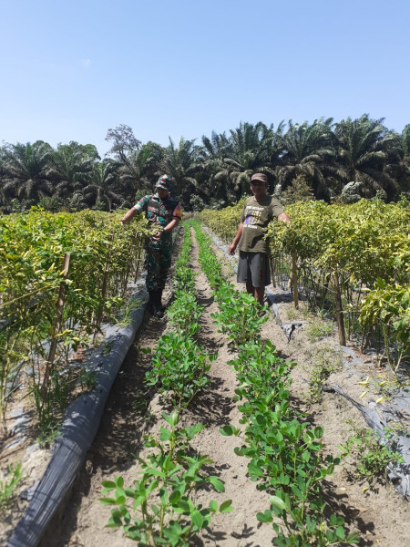 Serda Andri Widodo Laksanakan Pendampingan Karya Nyata
