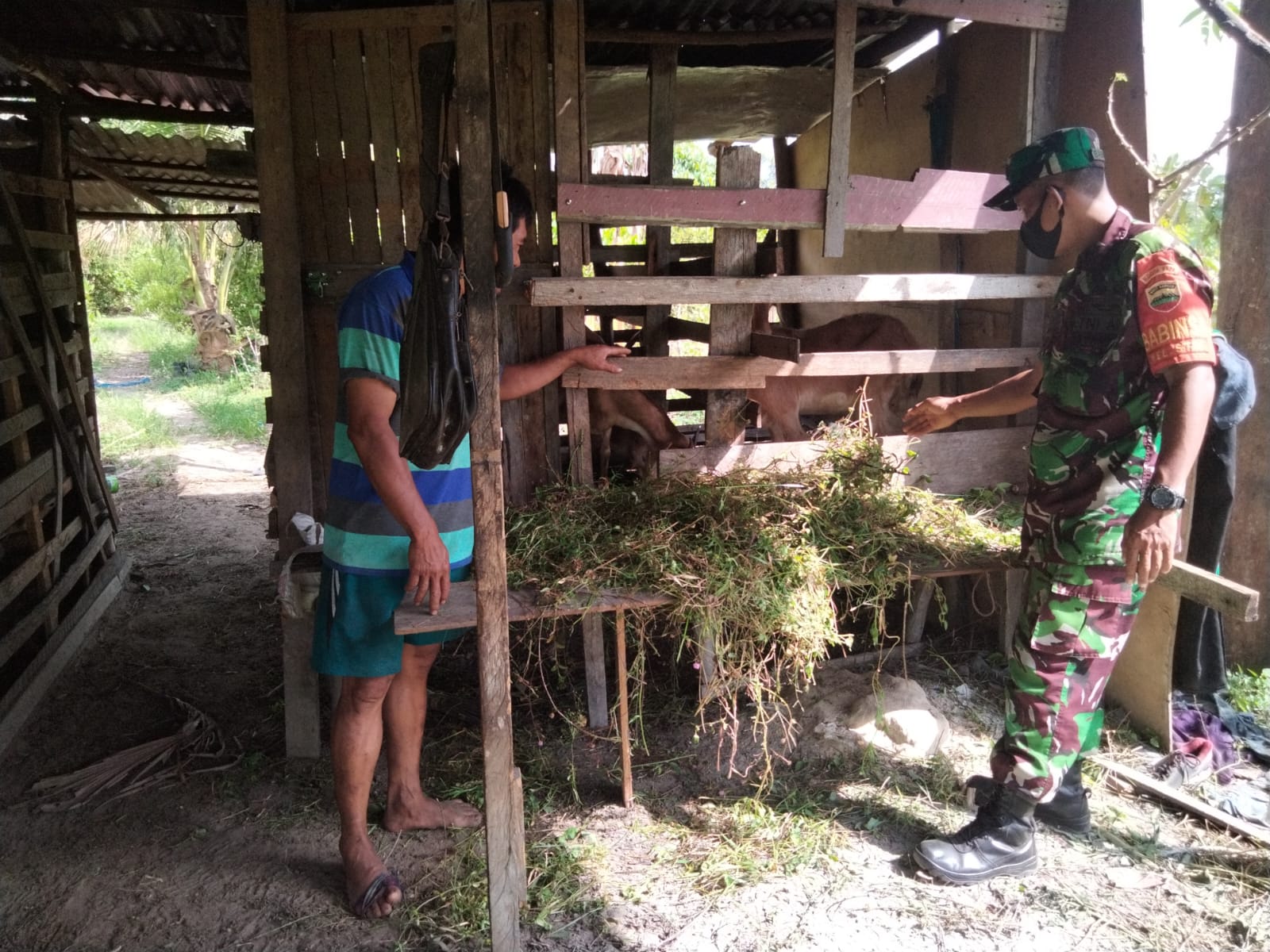 Pelaksanaan Giat Cegah PMK Terus Dilaksanakan Oleh Sertu Sugianto