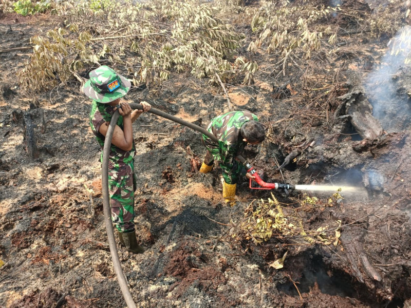 Kapten Inf Syuar Hendri dan Tim Gabungan Laksanakan Pendinginan dan Pemadaman Kebakaran