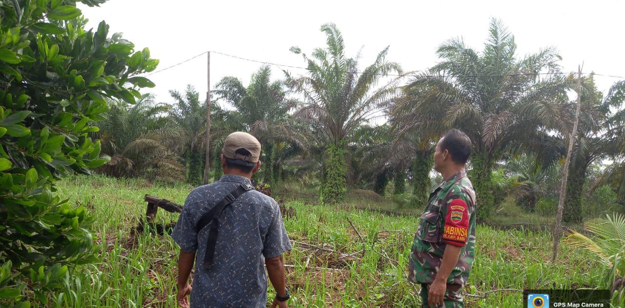 Giat Rutin Pelda Riadi Sembiring Cegah Karhutla