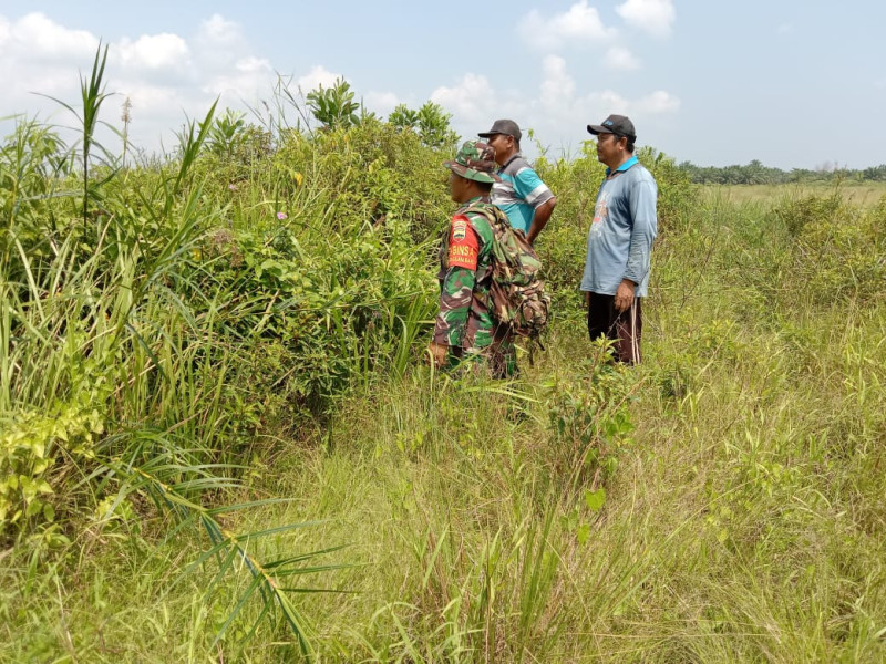 Pemantauan Wilayah Oleh Sertu Jainal Arifin Guna Cegah Karhutla