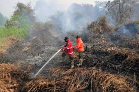 Pemko akan Bangun Posko Kebakaran di Pinggiran Kota Dumai