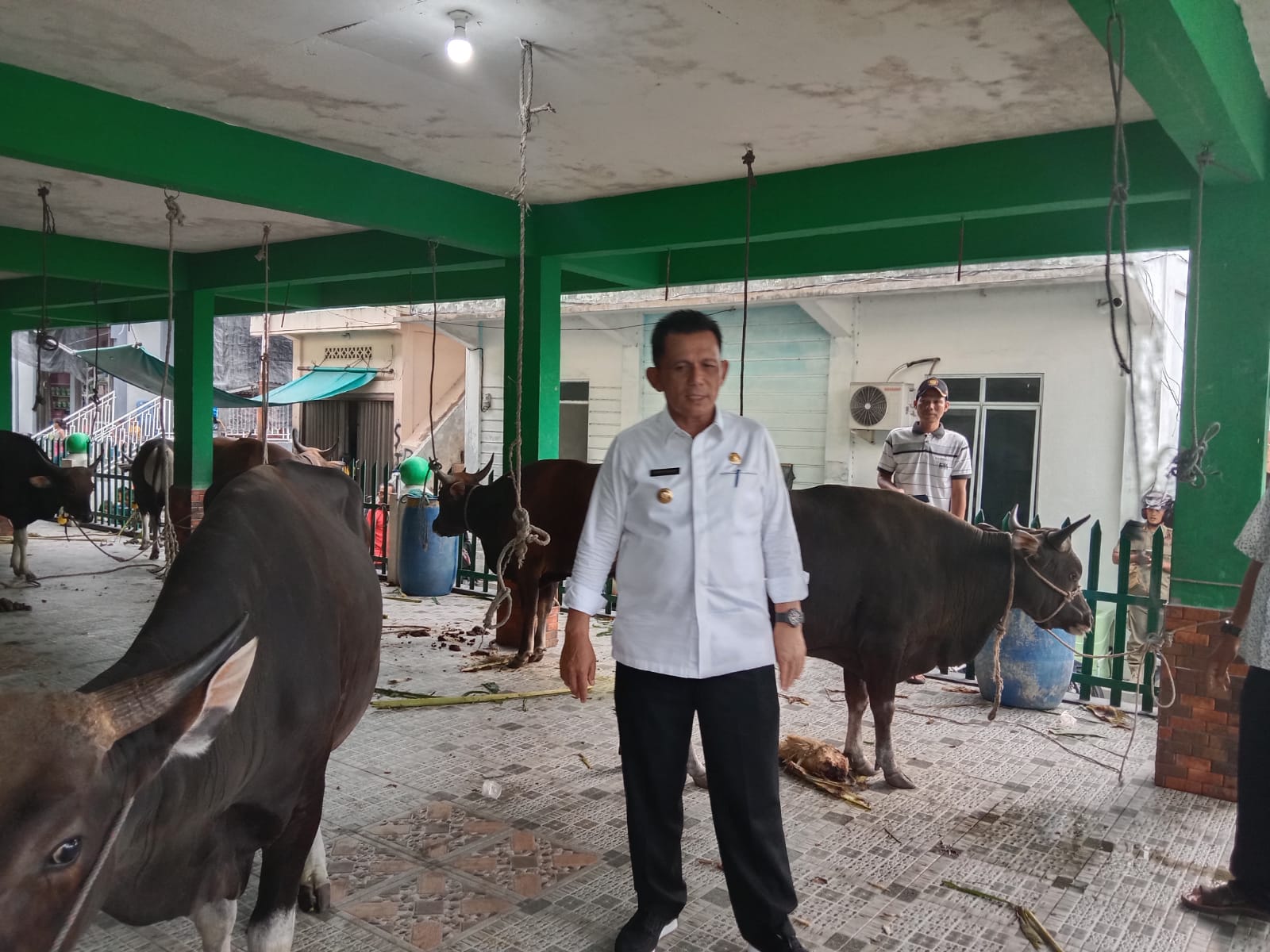 Masyarakat Anambas Bersukacita dapat Sapi Kurban dari Presiden RI Joko Widodo