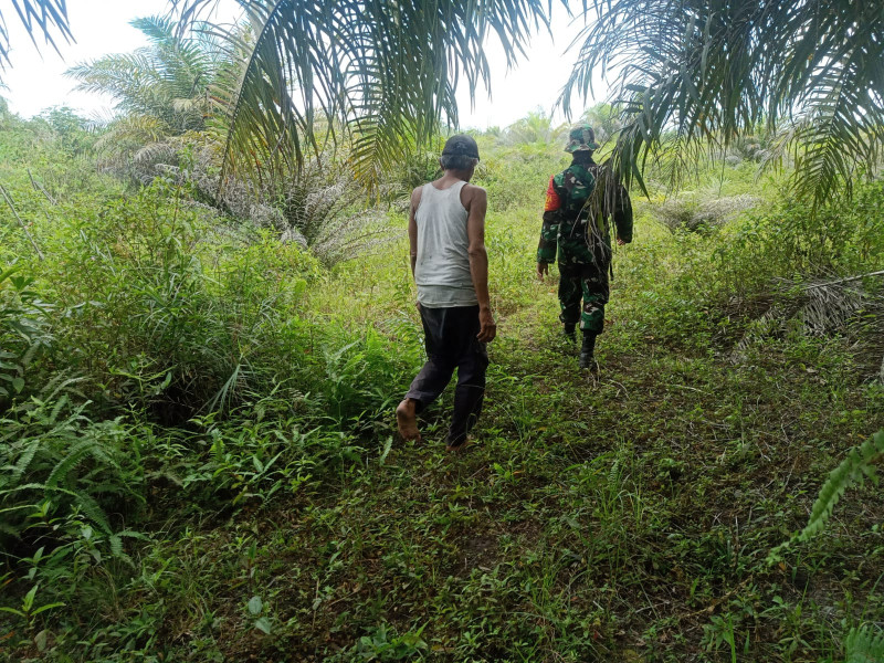 Sertu Boby Rahman Melakukan Patroli Cegah Karhutla