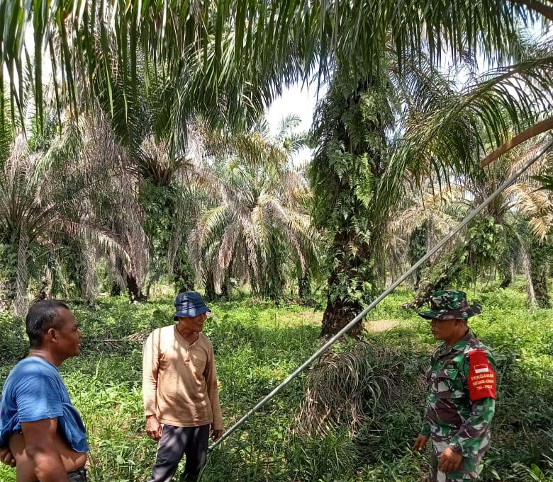 Sertu Heriyanto, Himbau Masyarakat Peduli Terhadap Karhutla