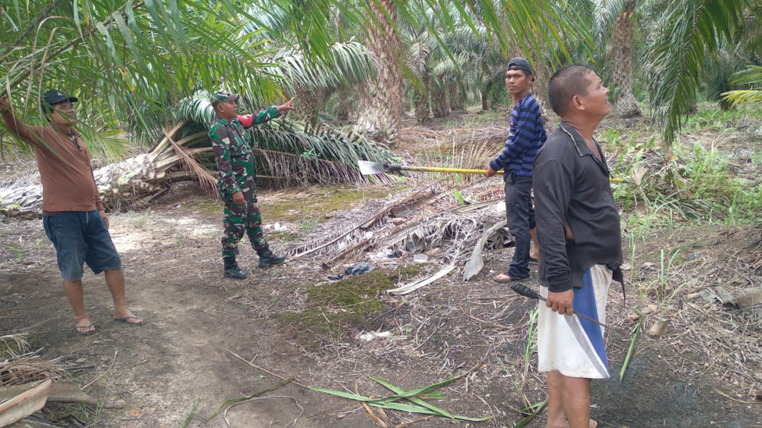 Sertu Misriyadi Laksanakan Patroli Bersama Timnya, Guna Cegah Karhutla