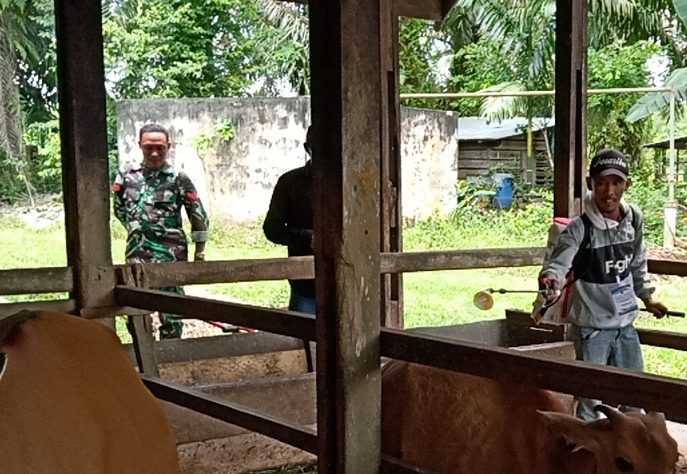 Giat Mencegah PMK Oleh Koptu Andi