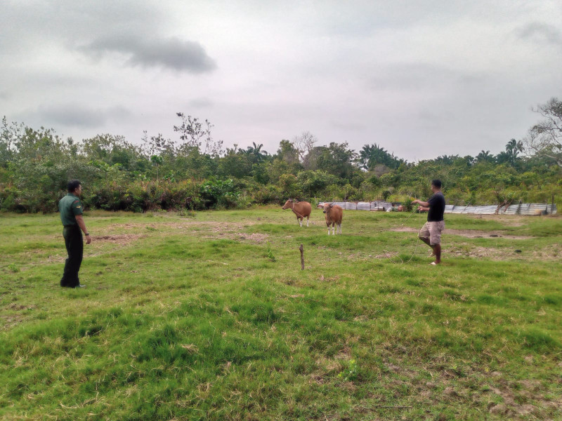 Himbauan Serda Ade D Purba Untuk Masyarakat Dalam Mencegah PMK