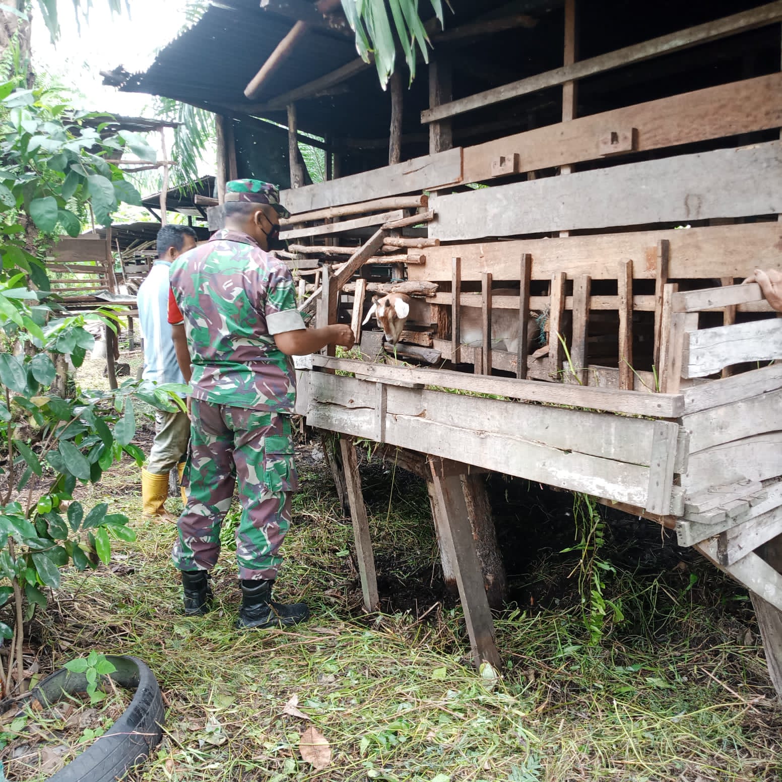 Serda Ahmad Junaidi Laksanakan Sosialisasi Pencegahan PMK