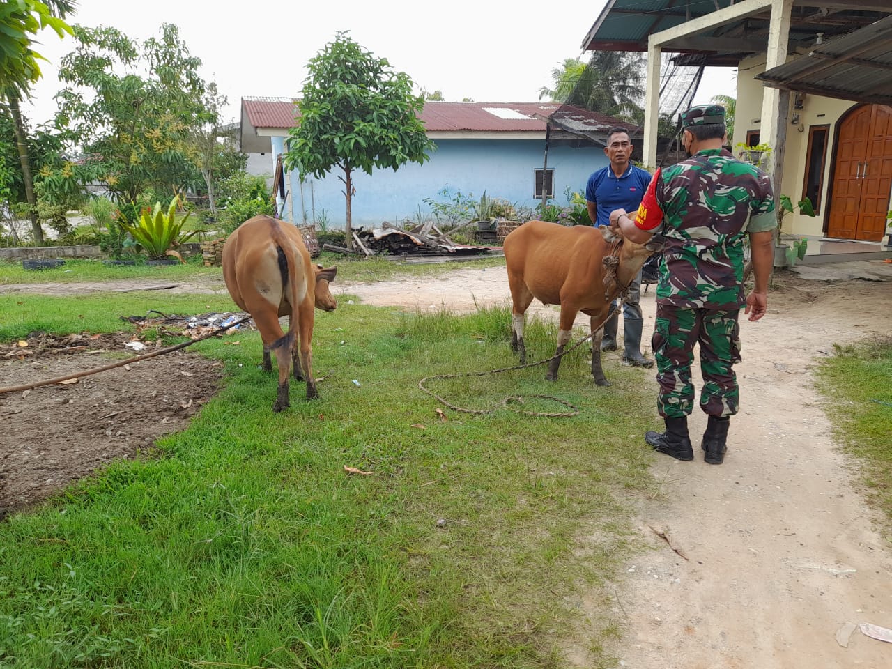 Giat Pencegahan PMK Oleh Pelda Sapi'i