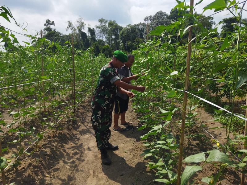 Semangat Jaga Ketahanan Pangan, Sertu Abu Kosim Berikan Penyuluhan