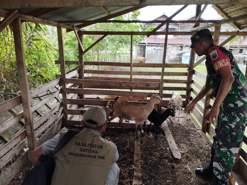 Giat Serka Eri Efrianto Cegah PMK