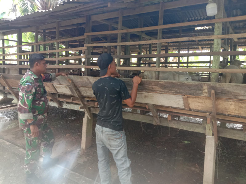 Turun Langsung, Sertu Afnal Temui Peternak Binaan
