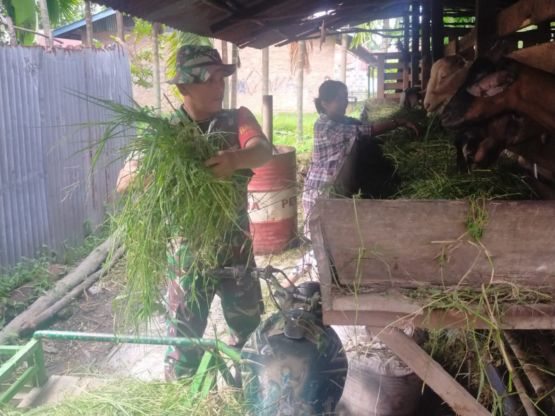 Sertu Arjuna Endar Laksanakan Sosialisasi Pencegahan Virus PMK