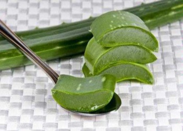 Cara Mengatasi Asam Urat dengan Lidah Buaya