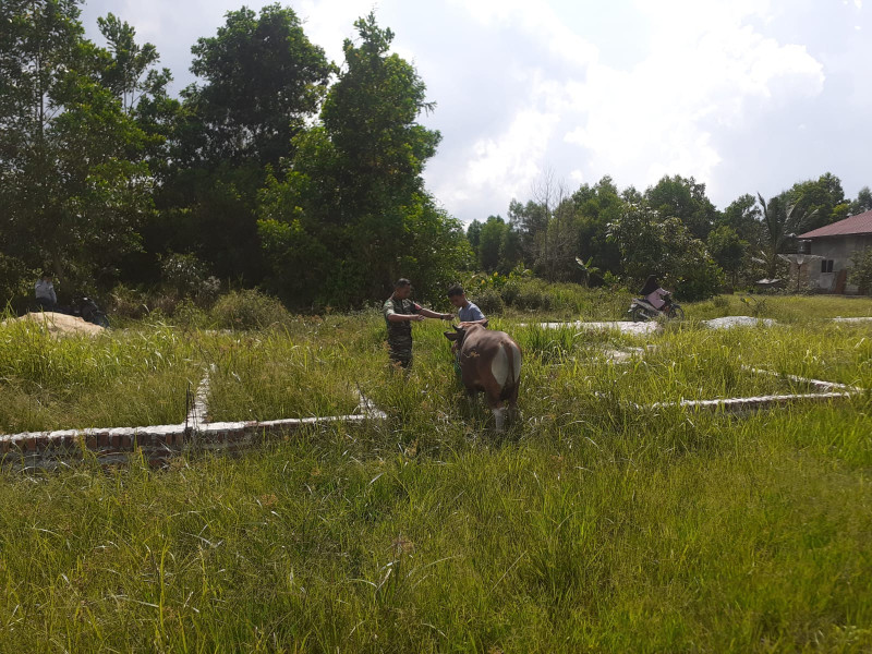 Pelaksanaan Giat Cegah PMK Oleh Serda Andri Widodo