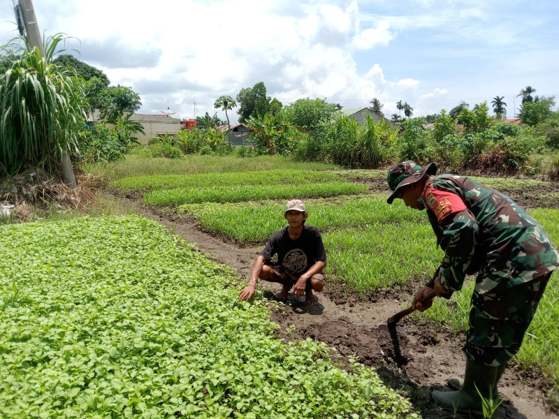 Petani Bayam Dapatkan Pembekalan Dari Babinsa Serka Suandi