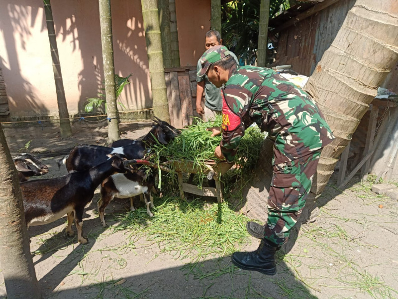 Sambangi Peternak, Ini Yang Disampaikan Oleh Sertu Boby Rahman