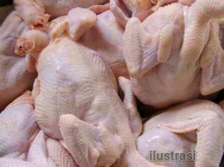 Akibat Wabah Covid19 Harga Ayam Potong di Pangkalan Kerinci Anjlok