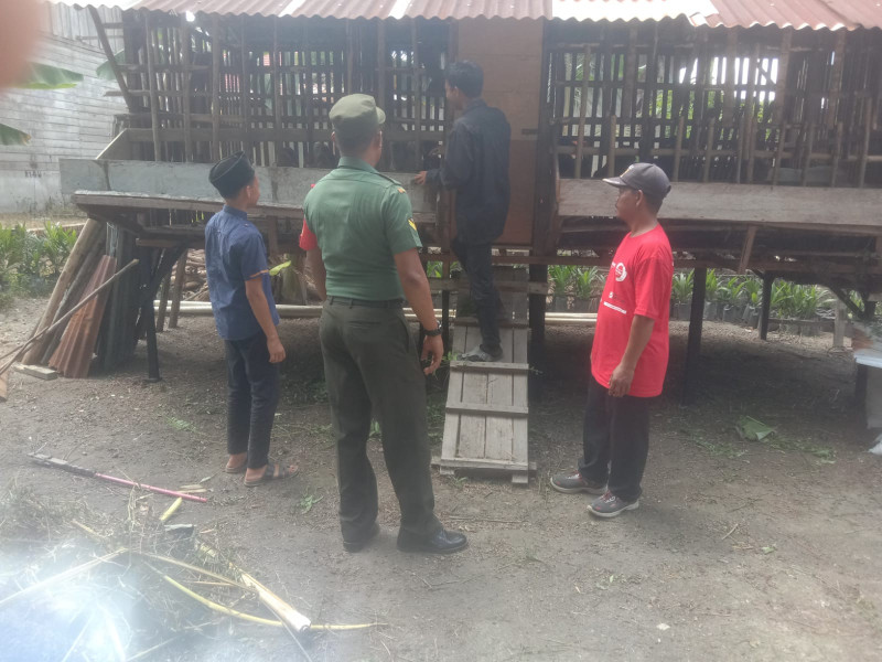 Jelang Idul Adha, Sertu Afnal Cek Langsung Kesehatan Hewan Ternak