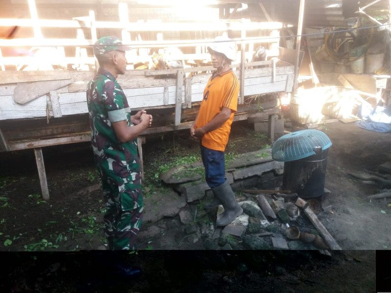 Sertu Nono Sampaikan Ciri-ciri PMK Kepada Peternak