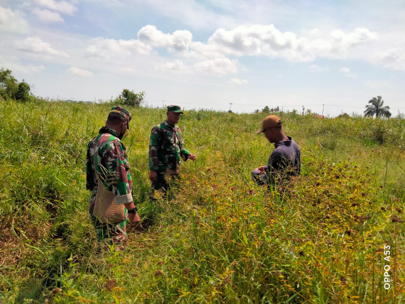 Pelaksanaan Pencegahan Karhutla Terus Dilakukan Oleh Babinsa Koramil 06 Merbau di Wilayah Binaannya