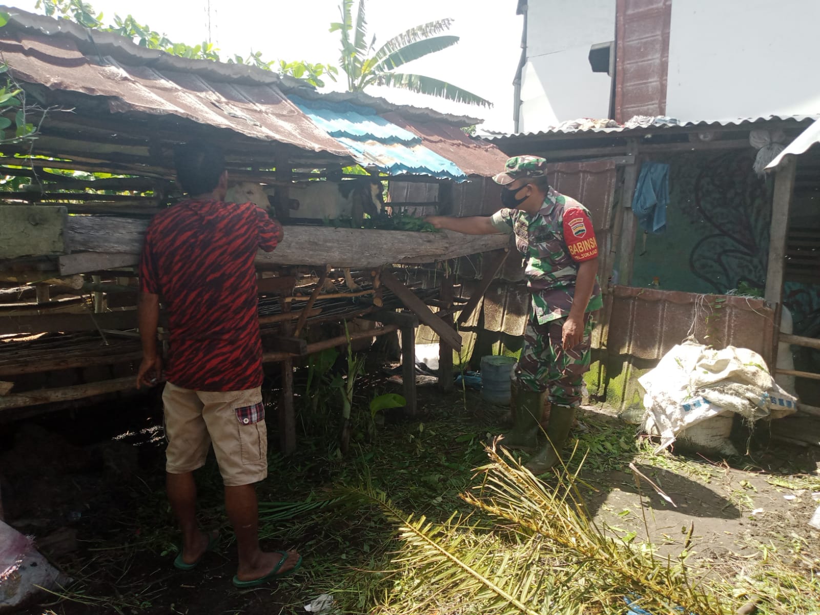 Babinsa Sukajadi Ingatkan Masyarakat Mengenai PMK