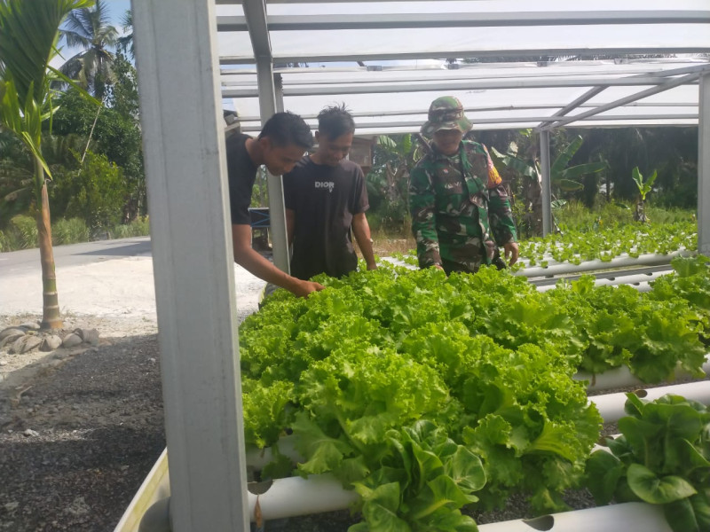 Serda Iwan Sahputra Sampaikan Kiat Penanaman Sayur Hidroponik