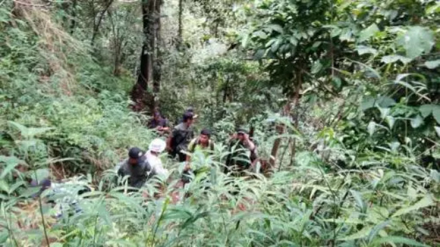 Pasca-Manusia Dimangsa Harimau, BKSDA Sumsel Pasang 4 Kamera Penjebak