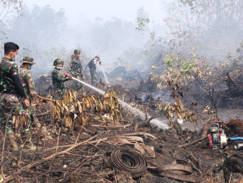 Letkol Arh Hermansyah Tarigan Turun dan Ikut Membantu Memadamkan Kebakaran Hutan