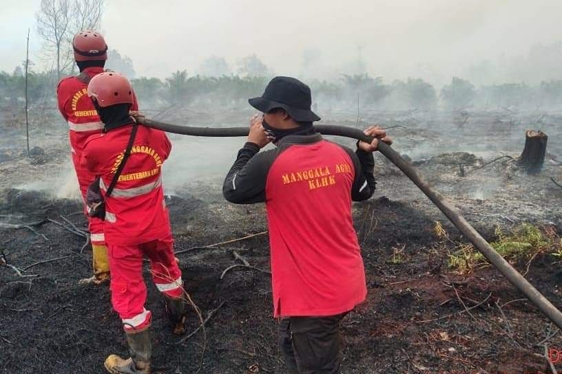 Petugas Gabungan Padamkan Karhutla di Lima Daerah di Riau
