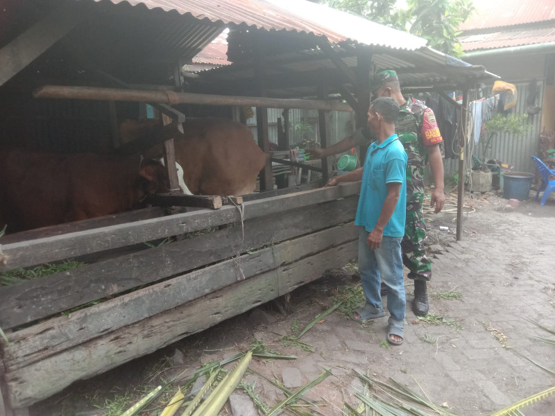 Serda Agustinus Laksanakan Giat Cegah PMK