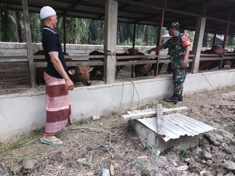 Serka Khorianto Melaksanakan Giat Cegah PMK