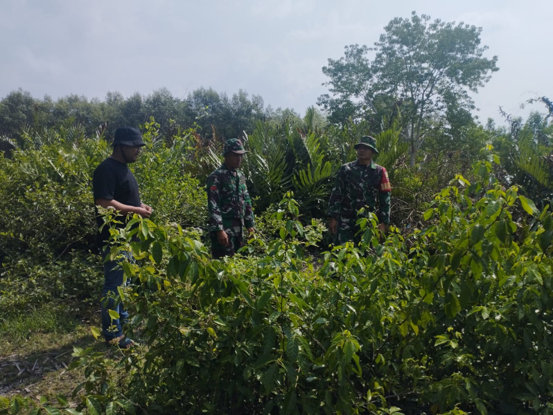 Babinsa Koramil 06 Merbau Sisir Wilayah Binaannya Untuk Mencegah Karhutla