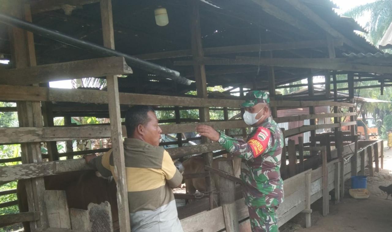 Pencegahan Dini PMK di Kelurahan Bukit Nenas