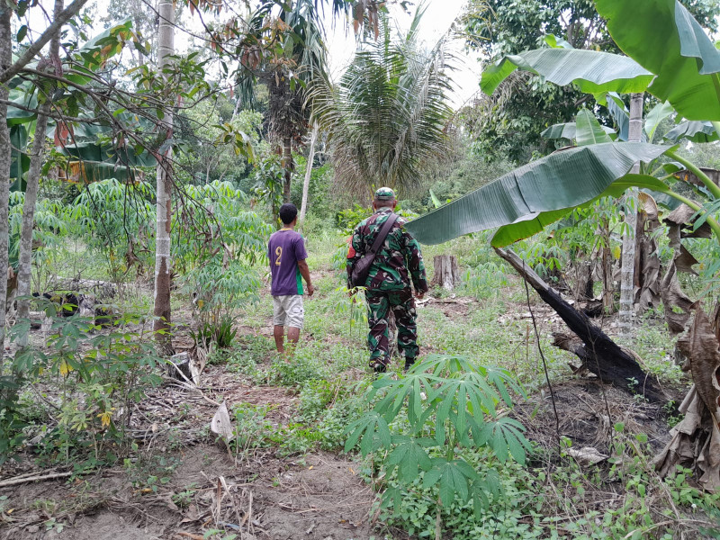 Serma Fahrizal Purba Himbau Masyarakat Untuk Mencegah Karhutla