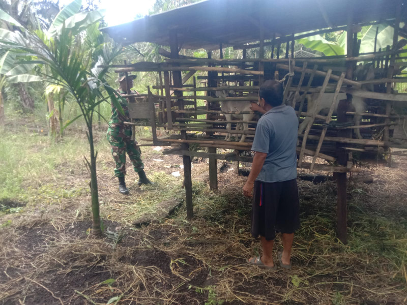 Babinsa Dumai Barat Laksanakan Sosialisasi Cegah PMK di RT 09 Kelurahan Bagan Keladi